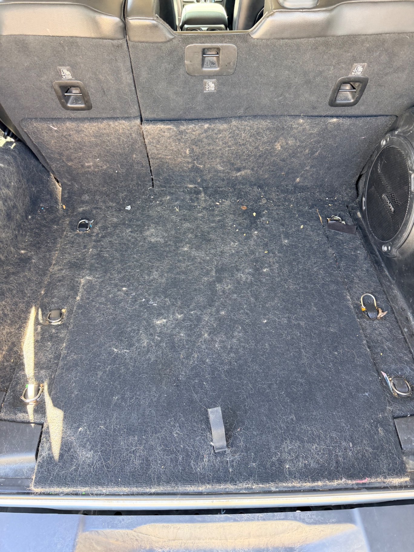 Deep Carpet Clean — Cargo Area before